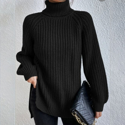 Pull En Laine à Col Haut